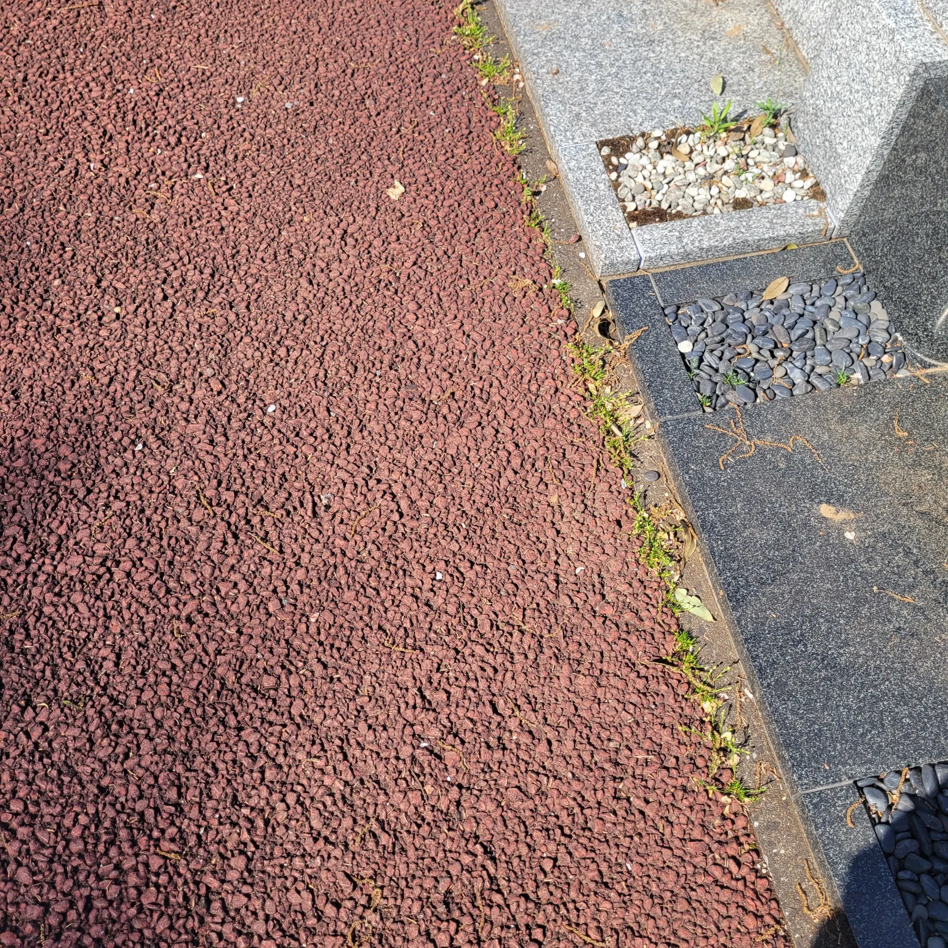 除草に追われる嫌~なシーズンが到来です…
